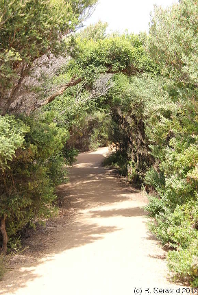 MELBOURNE20111230 094039