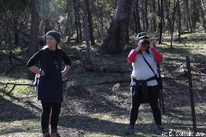 Majura20140803 141701