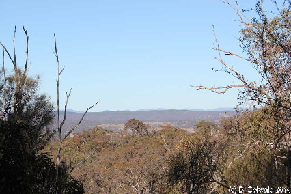 Majura20140803 143630