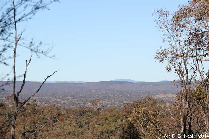 Majura20140803 143656