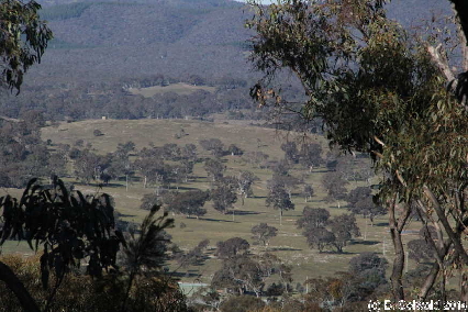 Majura20140803 144721