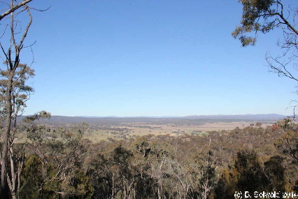 Majura20140803 145106
