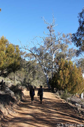 Majura20140803 152828