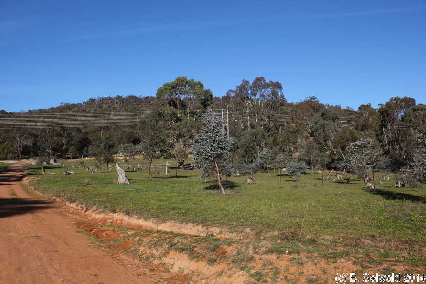 MtMajura20140517 151452
