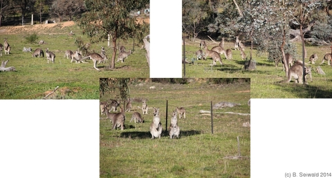 MtMajura20140517 151501