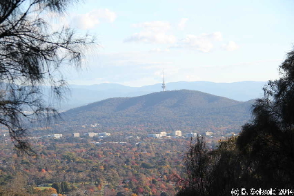 MtMajura20140517 153105