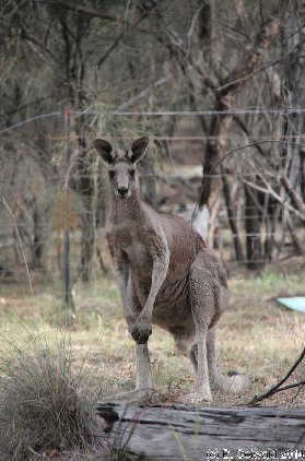 MtMajura20141122 175657