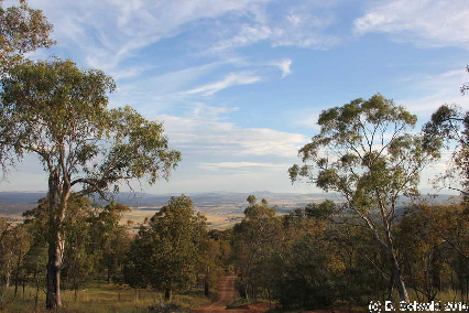 MtMajura20141122 190847