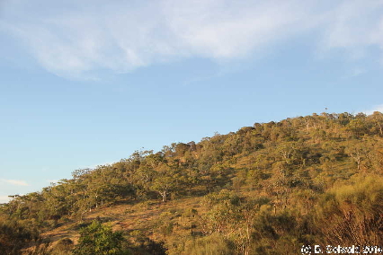 MtMajura20141122 192226