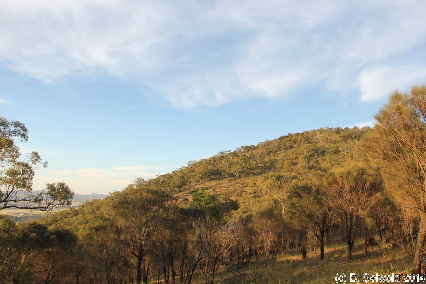 MtMajura20141122 192233