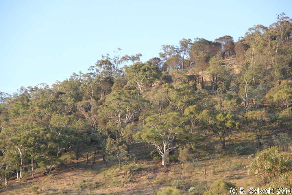 MtMajura20141122 192306