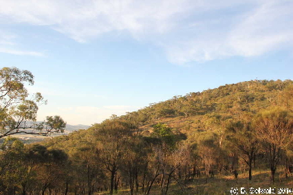 MtMajura20141122 192529