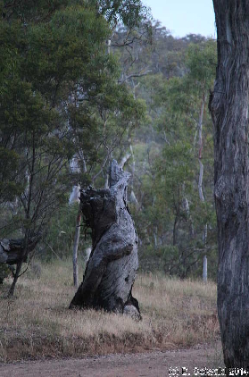 MtMajura20141122 195727