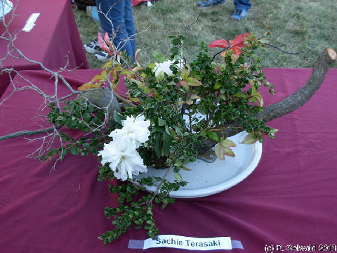 NaraCandleFestival20131026 182826