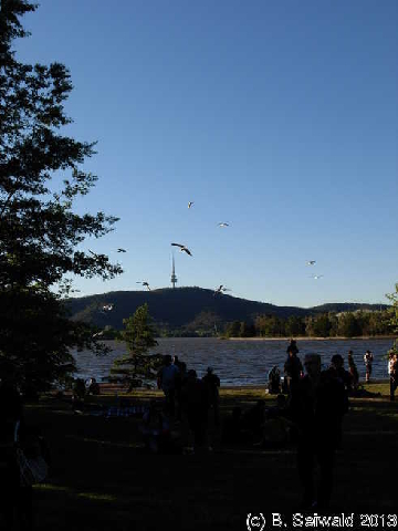 NaraCandleFestival20131026 183633