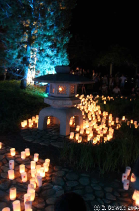 NaraCandleFestival20141025 211131