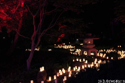 NaraCandleFestival20151024 204449