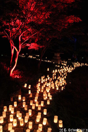 NaraCandleFestival20151024 204551