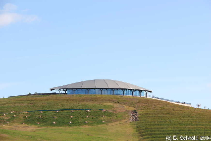 NationalArboretum20140525 105447