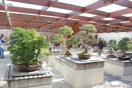 NationalArboretum20140525 111803