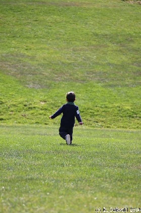 NationalArboretum20140525 114550