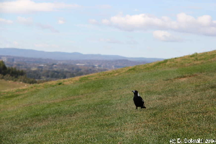 NationalArboretum20140525 120342