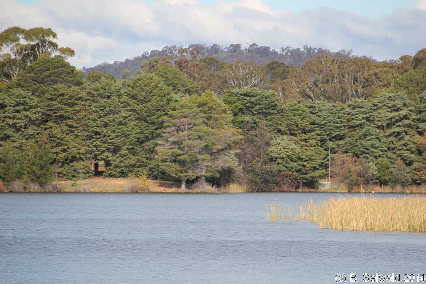 NationalArboretum20140525 135901