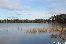 NationalArboretum20140525-140057