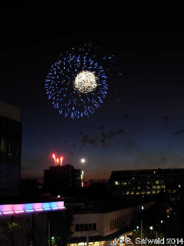 NewYearsEve20131231 210549