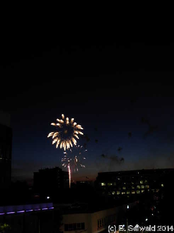 NewYearsEve20131231 210658
