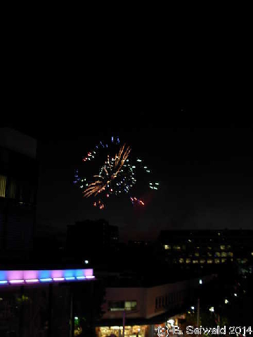 NewYearsEve20131231 211106