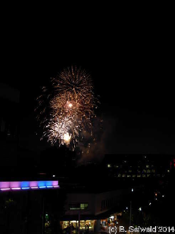 NewYearsEve20131231 211225