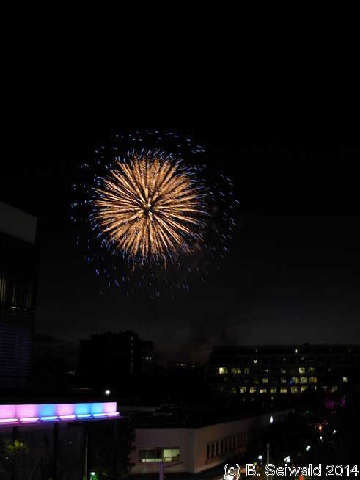 NewYearsEve20131231 211236