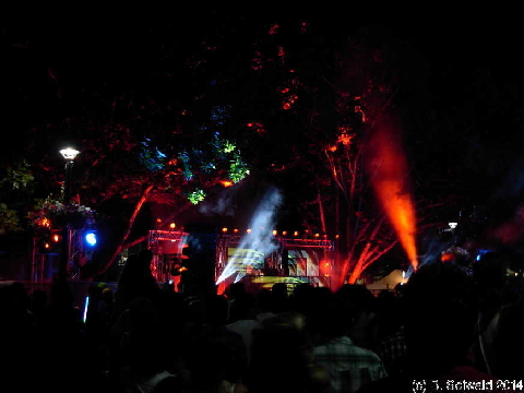 NewYearsEve20131231 233158