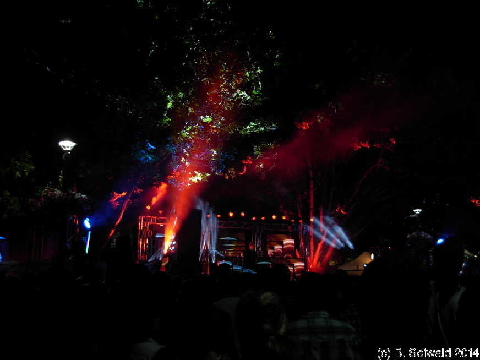 NewYearsEve20131231 233210