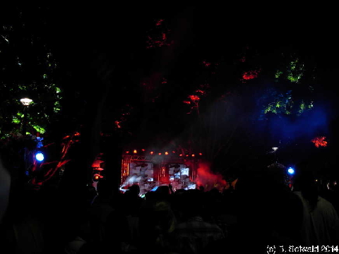 NewYearsEve20131231 233247