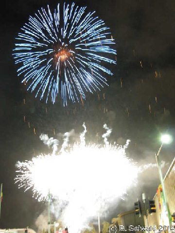 NewYearsEve20140101 000310