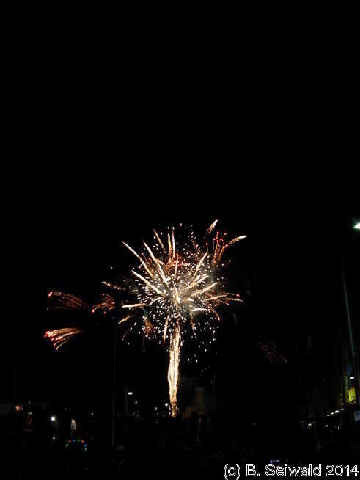 NewYearsEve20140101 000644