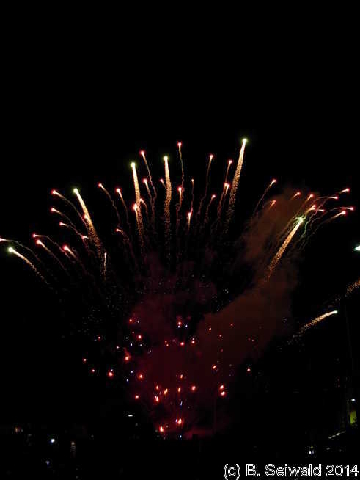 NewYearsEve20140101 000714