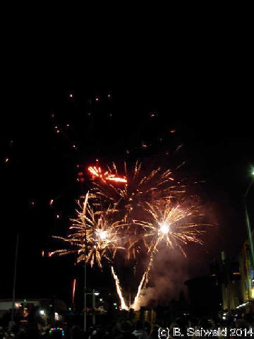 NewYearsEve20140101 000944