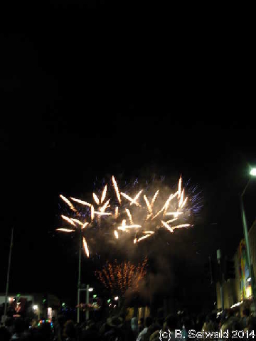 NewYearsEve20140101 001131