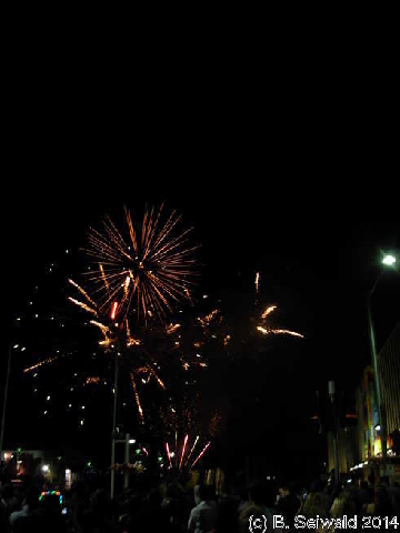 NewYearsEve20140101 001143