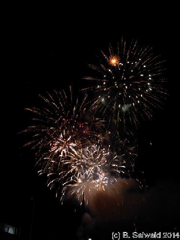 NewYearsEve20140101 001233