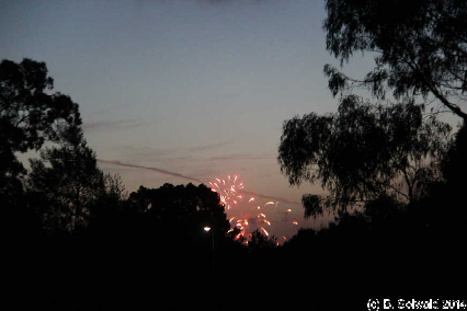 NewYearsEve20141231 210805