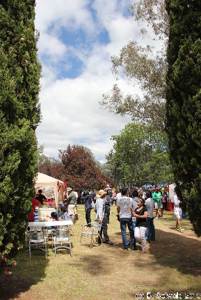 PaskoSaCanberra20131201 110148