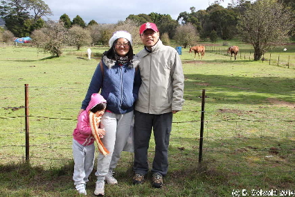 PumpkinFestival20140504 111242