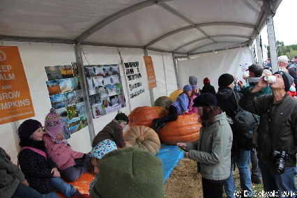 PumpkinFestival20140504 121559