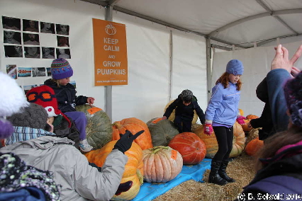 PumpkinFestival20140504 121941