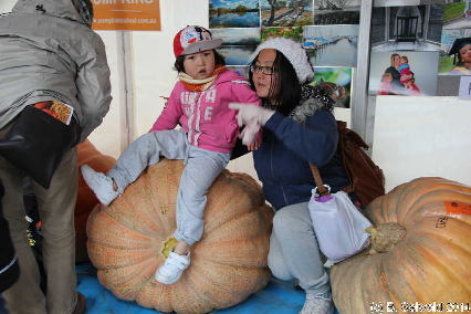 PumpkinFestival20140504 122047
