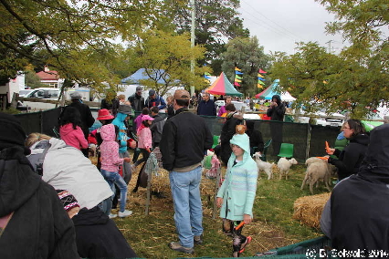PumpkinFestival20140504 125836